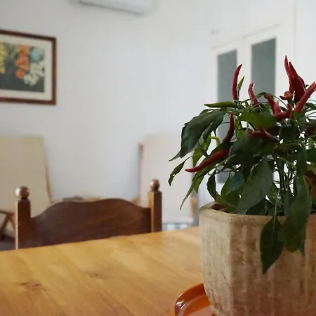 Prázdninový dům Casedda Gelsomino